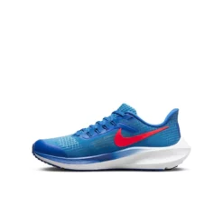 Kid's Nike Pegasus 39 - DM4015-411 -Potomac River Running SHOP DM4015 411 PHSLH001