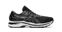 Men's ASICS GT-2000 9 - 1011A983.001